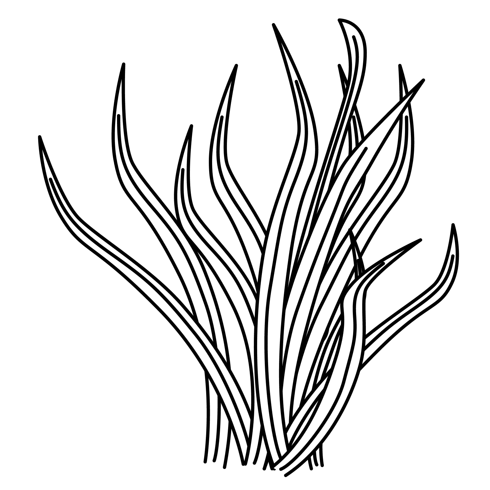 ocean plants coloring pages free - photo #4